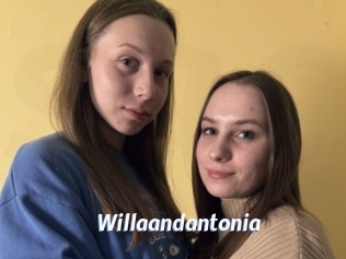 Willaandantonia