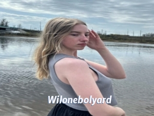 Wilonebolyard