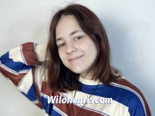 Wilonegriscom