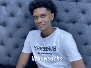 Wilowsacks