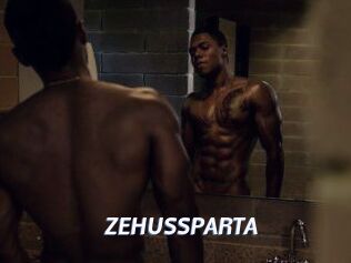 ZEHUS_SPARTA