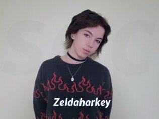 Zeldaharkey